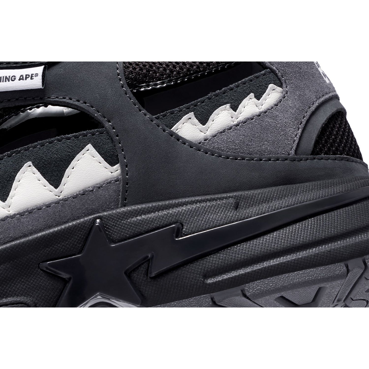 SHARK STA #1 MENS – Image 6