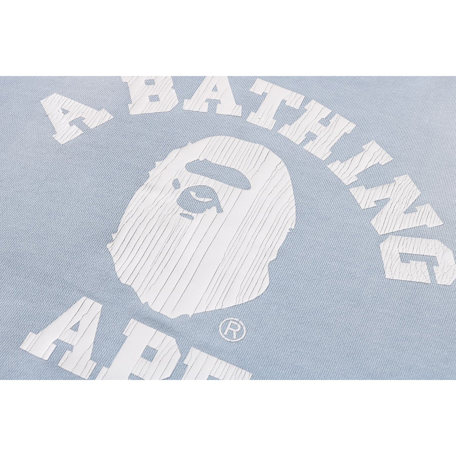 VINTAGE WASHED COLLEGE CREWNECK SWEATSHIRT LADIES – Image 3